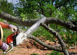 Best Seasonal Cleanup (Spring/Fall)  in Oxford, AL